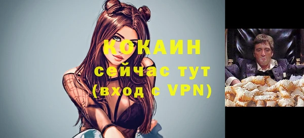 гашик Аркадак