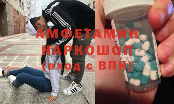 гашик Аркадак