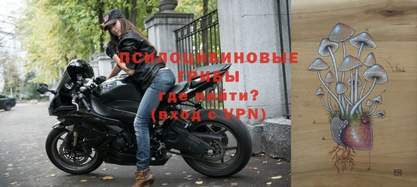 гашик Аркадак
