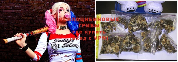 Альфа ПВП Армянск