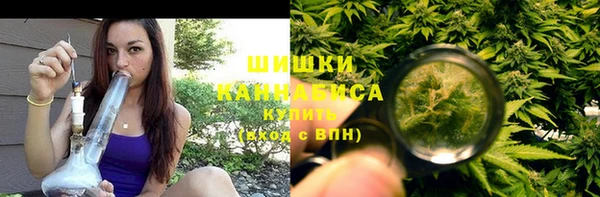 гашик Аркадак