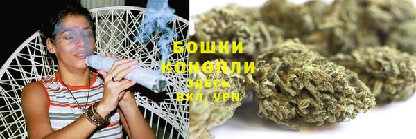 гашик Аркадак