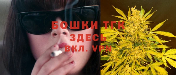 гашик Аркадак
