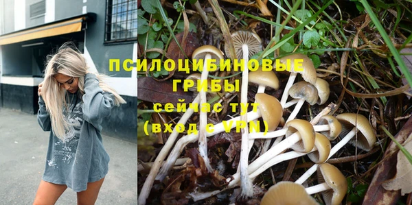 гашик Аркадак